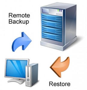 Access US St Louis Disaster Recovery Services 800.638.6373