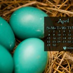 April 2012 1024x768