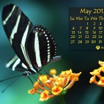 May 2012 1024x768 May 2012 1024x768