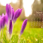March 2012 800x600 March 2012 800x600